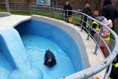 Zoologijos sode