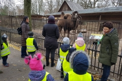 Zoologijos sode