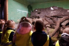 Zoologijos sode