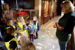 Zoologijos sode