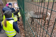 Zoologijos sode